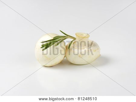 pair of fresh mushrooms with rosemary