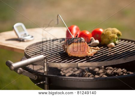 Checking meat