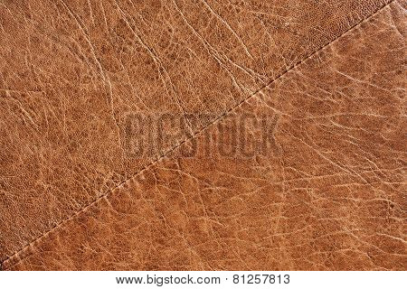Leather Texture