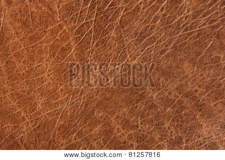 Leather Texture