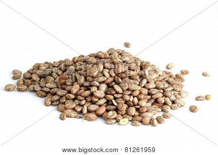 Medley Beans
