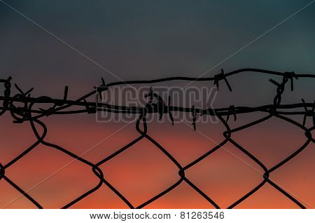 Steel Mesh Barbed Wire Fence Sunset