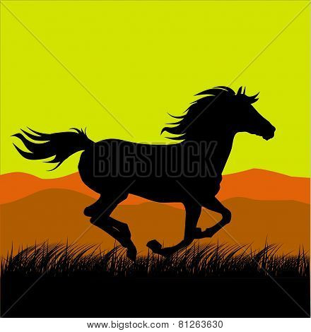 Horse at Sunset