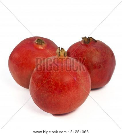 Pomegranate