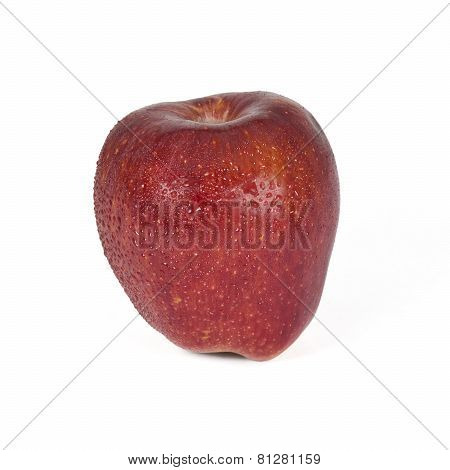 Apple Fruit