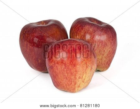 Apple Fruit
