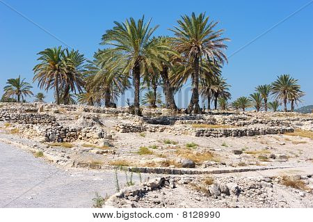 Biblical Place Of Israel: Megiddo