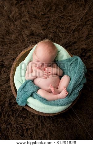 Sleeping Newborn In A Bowl