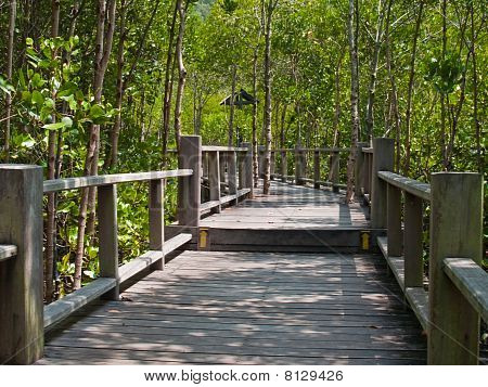 Mangrove måde