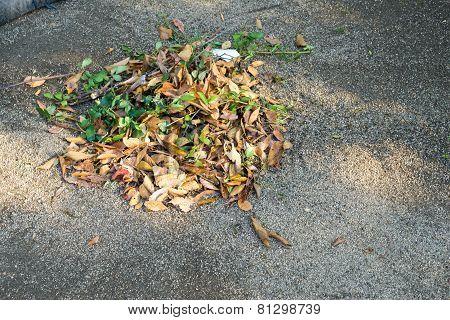 Dried Leaves Was Swept Together