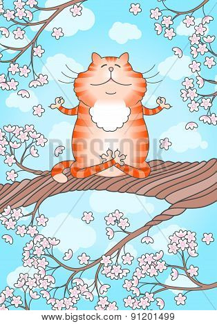 Cat Practicing Yoga