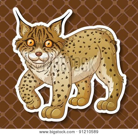 Closeup cute mynx with brown background
