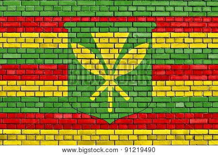 Flag Of Native Hawaiians Painted On Brick Wall