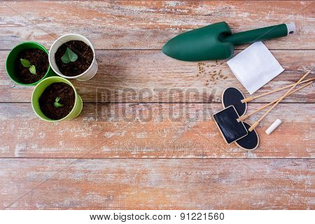 gardening and planting concept - close up of seedlings, garden trowel, seeds and nameplates on table