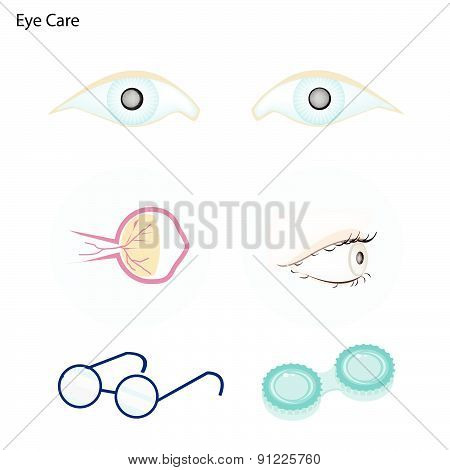 Eye Care With Glasses And Contact Lenses