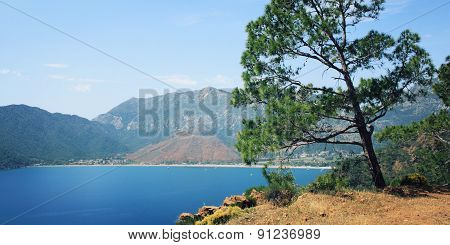 View Of Adrasan Bay. Pine Tree And Sea - Vintage Photo.