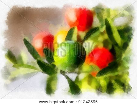 Nightshade berries, solanum pseudocapsicum