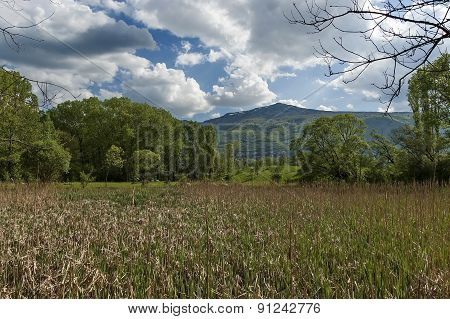 View from Sofia South park to Vitosha