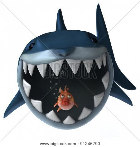 Fun shark