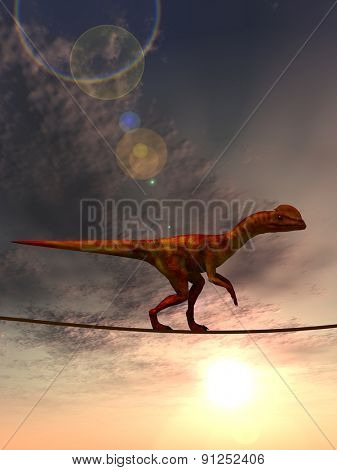 Concept or conceptual abstract business metaphor as wild heavy dinosaurus balancing on rope over sunset sky background