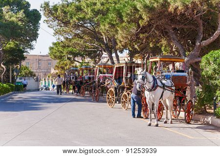 Row of horse with carriages in Mdina old capital of Malta. Attraction for tourists.