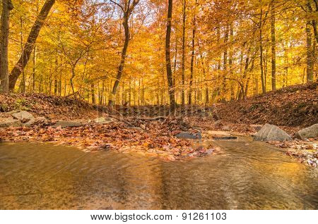 Lake Accotink Park