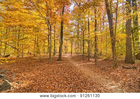 Lake Accotink Park