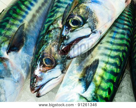 Fishes At Fish Market (fisketorget) In Bergen, Norway