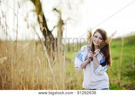 Slavic Girl In Ukrainian Shirt Holding Ears Of Corn