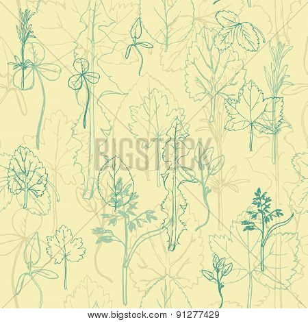 Seamless pattern with herbs and leaves