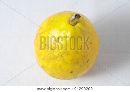 Ripe Fruit
