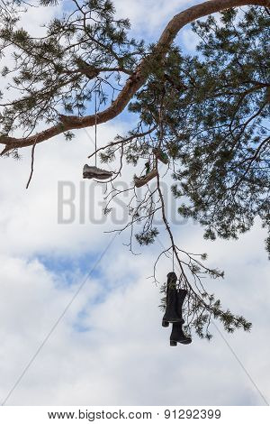 strange tradition to throw  shoes on trees