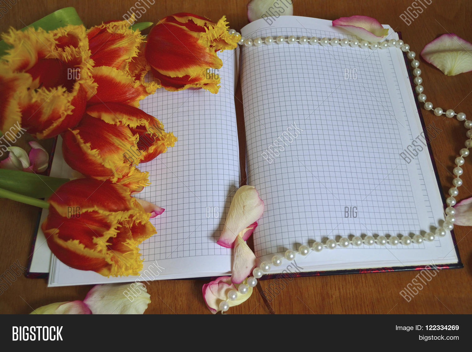 Image Preview