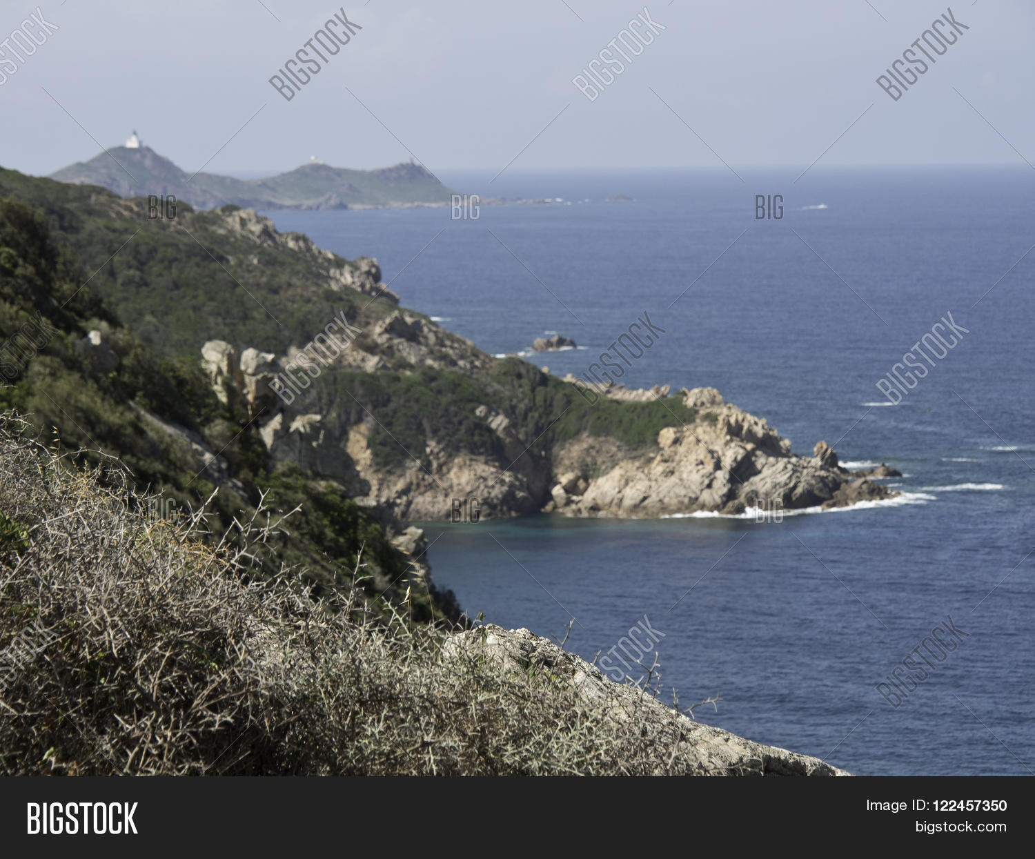 Image Preview
