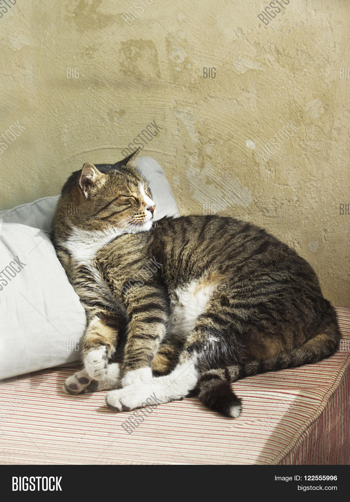 Image Preview