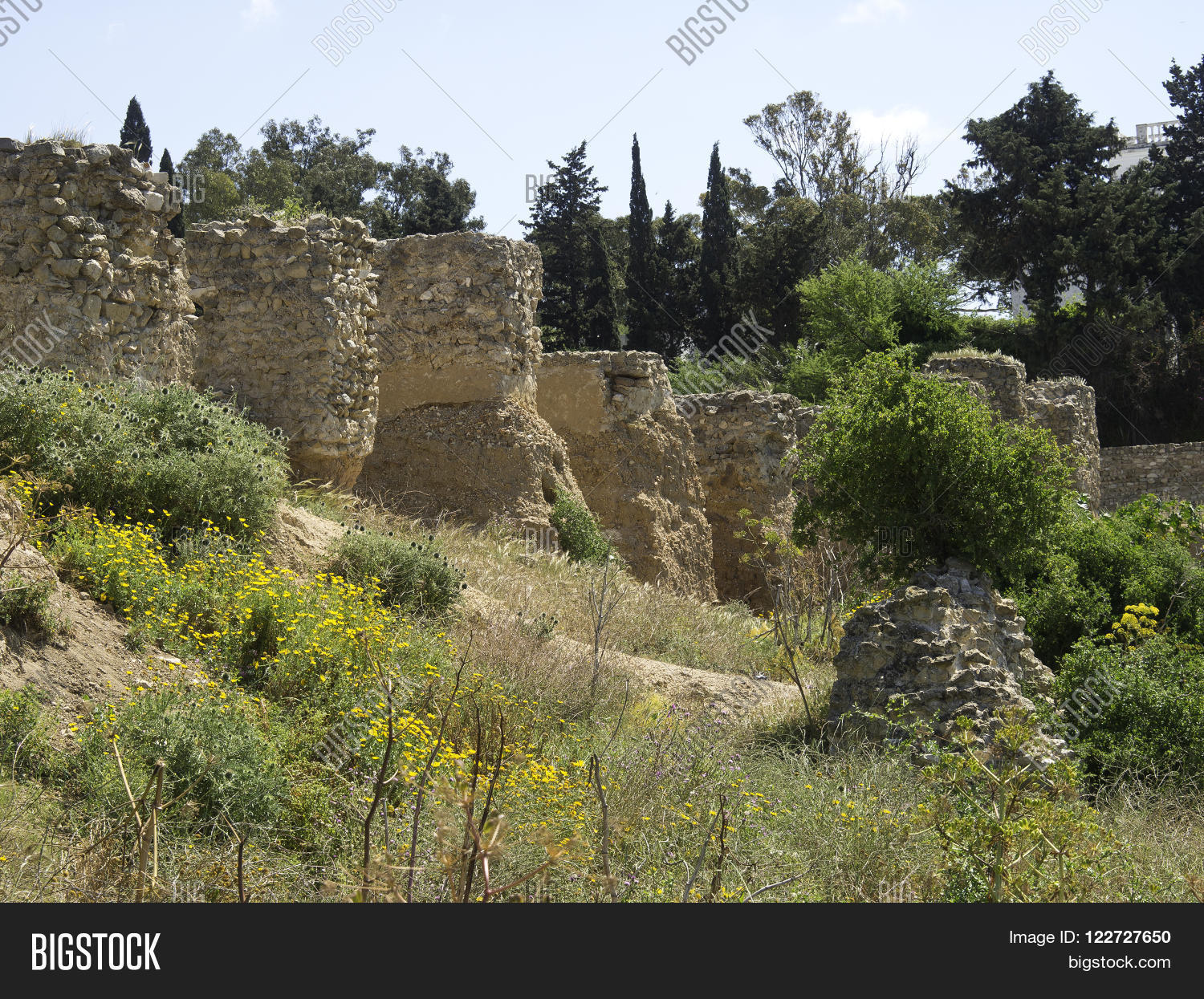 Image Preview