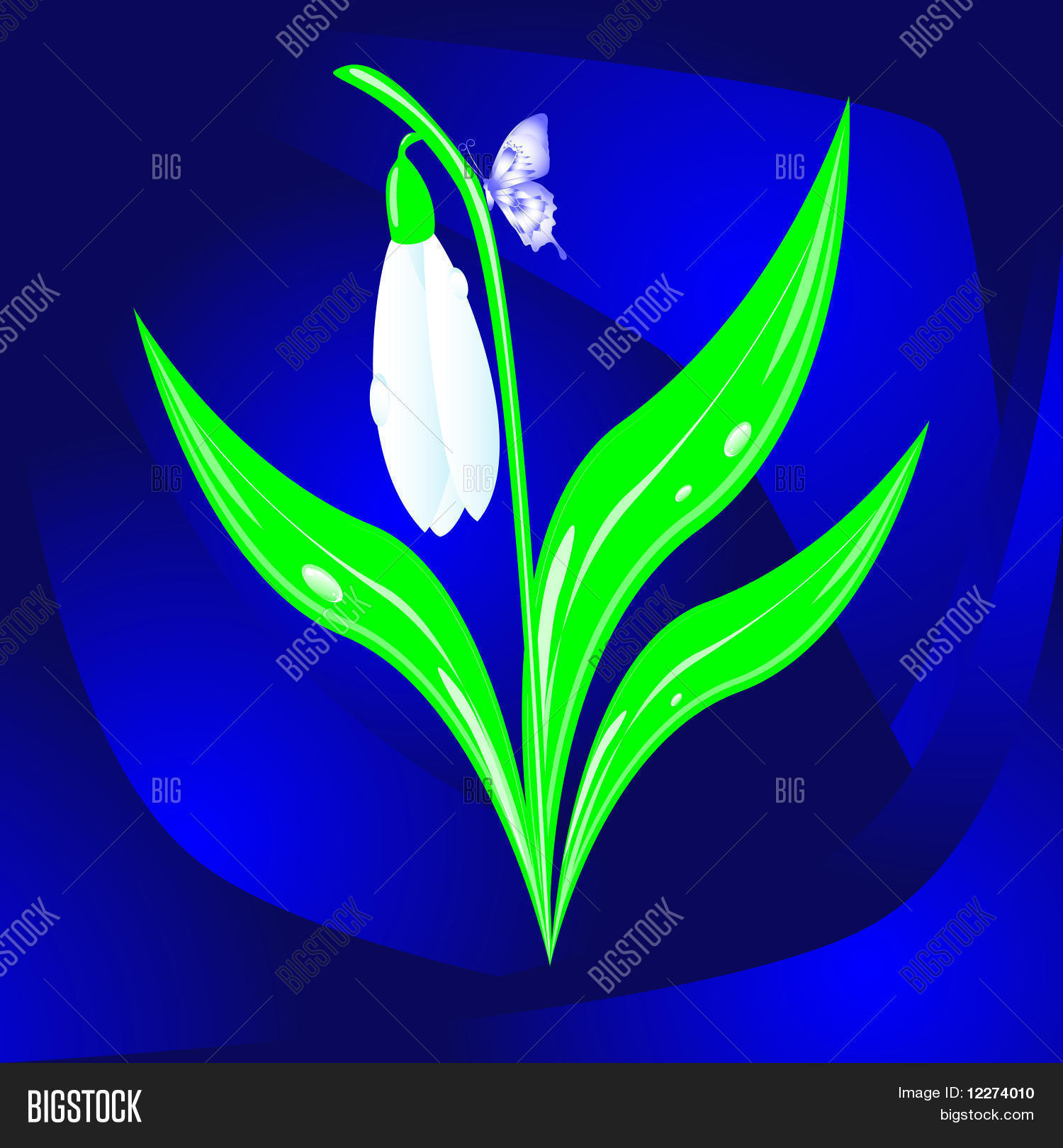 Image Preview