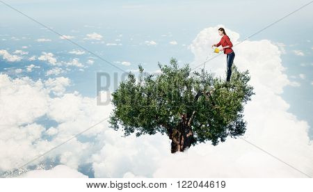 Agriculture and forestation concept