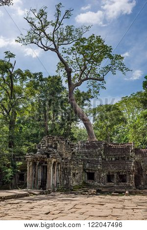 Ta Phrom Main Entrance