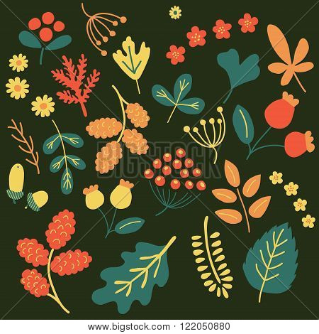 vector ser of leaves acorns flowers and other elements for scrapbooking