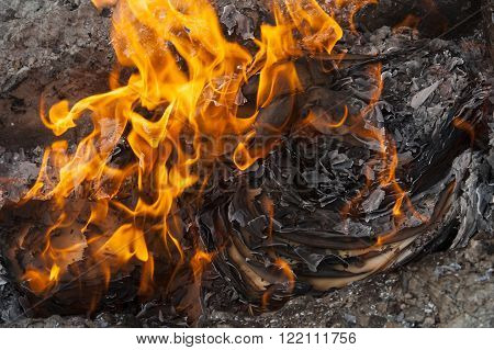 Burning Office White Paper In Bonfire