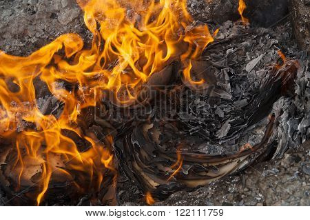 Burning Office White Paper In Bonfire