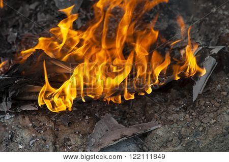 Burning Office White Paper In Bonfire