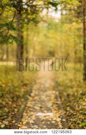 Blurred boke background of Wooden boarding path way pathway in autumn forest.