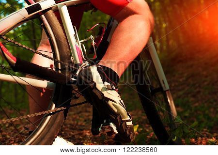 low angle view of cyclist riding mountain bike on rocky trail at sunrise