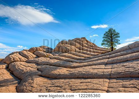 White Pocket rock formations, Vermilion Cliffs National Monument, Arizona, USA