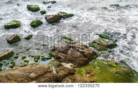 Close-up of sea surf. Rocky shore with sea water and large rocks covered with algae. Rocky coastline with sea water.