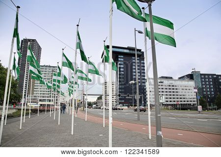 ROTTERDAM THE NETHERLANDS - 18 AUGUST: Rotterdam is a city modern architecture Nieuwe Leuvebrug street with green-white-green flags of Rotterdam in Rotterdam Netherlands on August 182015.
