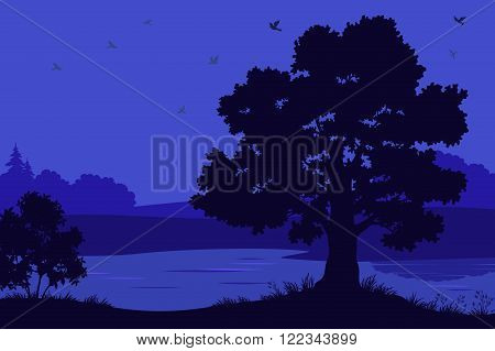 Night Landscape, Oak Tree Silhouettes, Bush and Grass on the Bank of Forest River. Vector