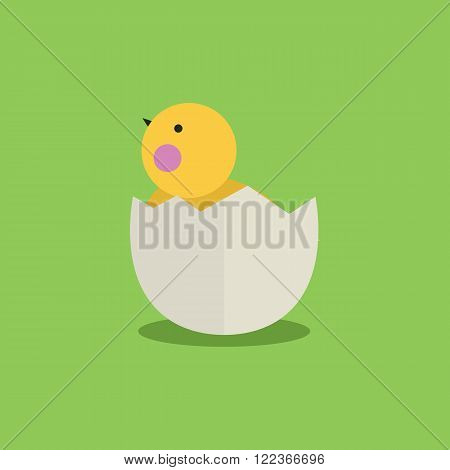 Cute cartoon little chicken in egg shell.Cartoon little chicken vector bird flat style.Chicken bird isolated on background.Farm bird.Vector Cute Chicken character farm animal bird.Chick farm bird